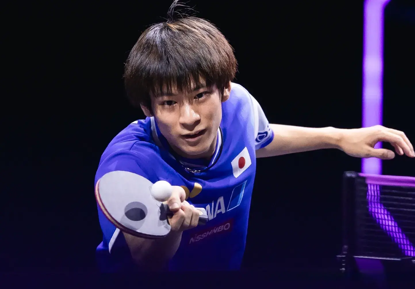 div, 陈垣宇目前 div, 陈垣宇目前