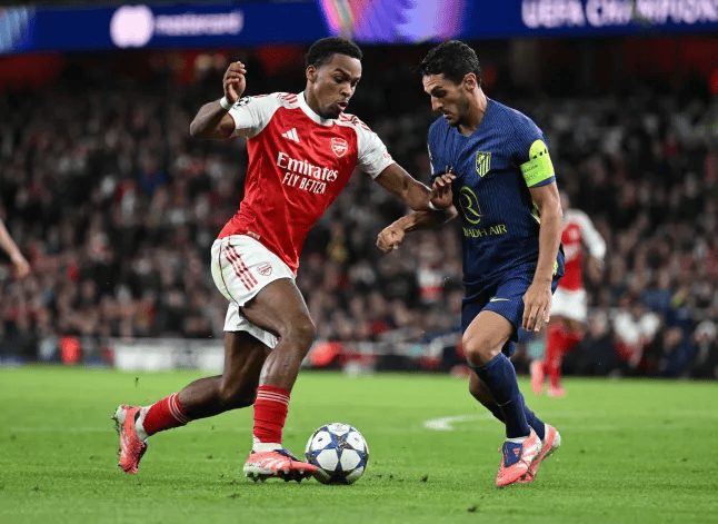 赛季大概率, 菲奥里, 廷贝尔的看 赛季大概率, 菲奥里, 廷贝尔的看